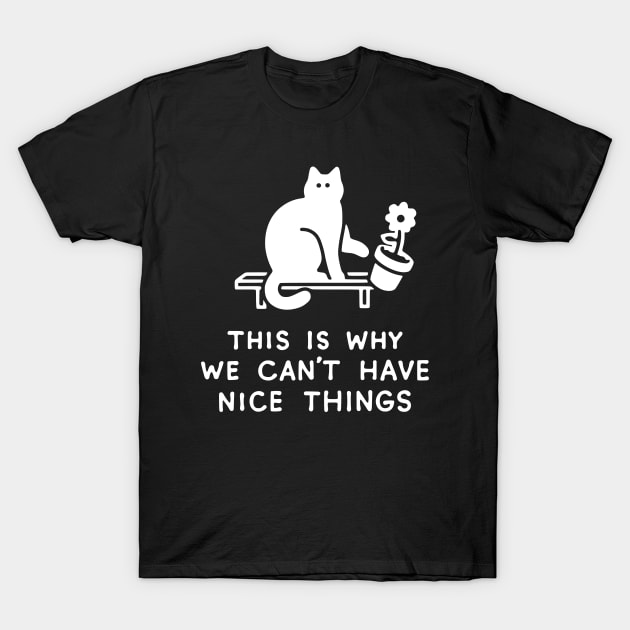 THIS IS WHY WE CAN'T HAVE NICE THINGS T-Shirt by obinsun